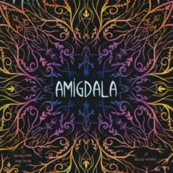Amigdala