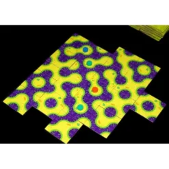 Amoeba