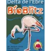 BioBlitz: Delta del Ebro (castellano)