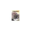 Conan: Aquilonia: Flor de Occidente
