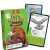 Desafios de la Naturaleza: Aves Rapaces