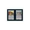 Dominion: Comarcas