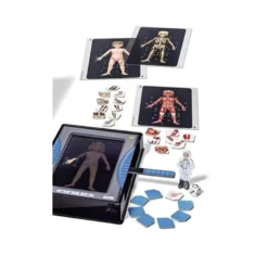 El Cuerpo Humano