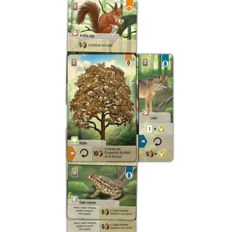 Forest Shuffle (castellano)