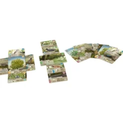 Forest Shuffle: Dartmoor (castellano)