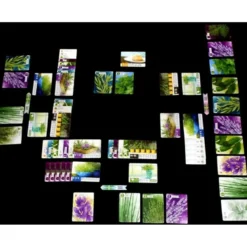 Herbaceas (edicion en castellano)