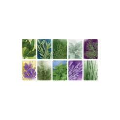 Herbaceas (edicion en castellano)