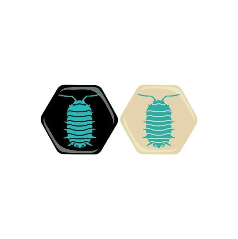 Hive Pocket : Expansion Bicho Bola