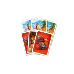 Jaipur - Nueva Edicion