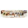 La Leyenda de los Cinco Anillos LCG: mazo del clan leon