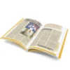 Mask: Coleccion del Halcyon City Herald