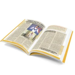 Mask: Coleccion del Halcyon City Herald