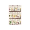 Munchkin 4: Que locura de Montura