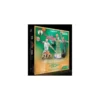 NBA Flex Single Player Boston Celtics Starter Set