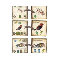On the Origin of the Species (castellano)
