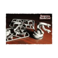 Shadows of Brimstone: Dark Stone Hydra XL Enemy pack