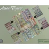 Tigres Asiaticos